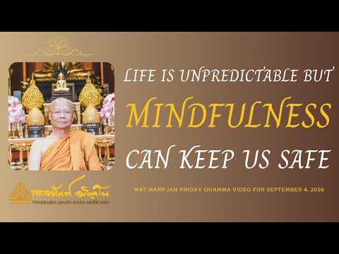Life Is Unpredictable But Mindfulness Can Keep Us Safe | 4 Sep 2026